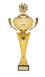 5825-removebg-preview