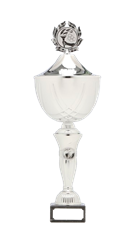 6556-removebg-preview