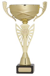 8296_r-removebg-preview