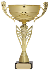 8298_r-removebg-preview