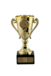 8538-removebg-preview