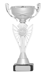 r_8264-removebg-preview