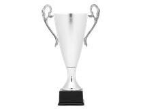 7310-removebg-preview