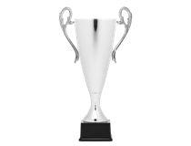 7311-removebg-preview