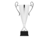 7312-removebg-preview