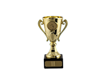 8538-removebg-preview