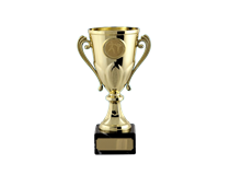 8539-removebg-preview