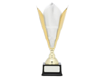 8882-removebg-preview