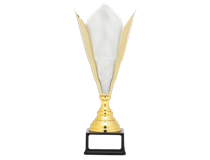 8884-removebg-preview