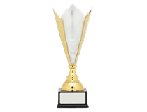 8885-removebg-preview