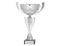 r_8268-removebg-preview