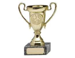 8520-removebg-preview